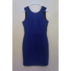Banana Republic Blue Dress